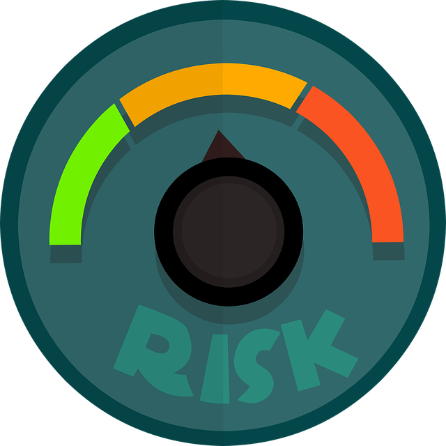 Business-Wide Risk Assessment